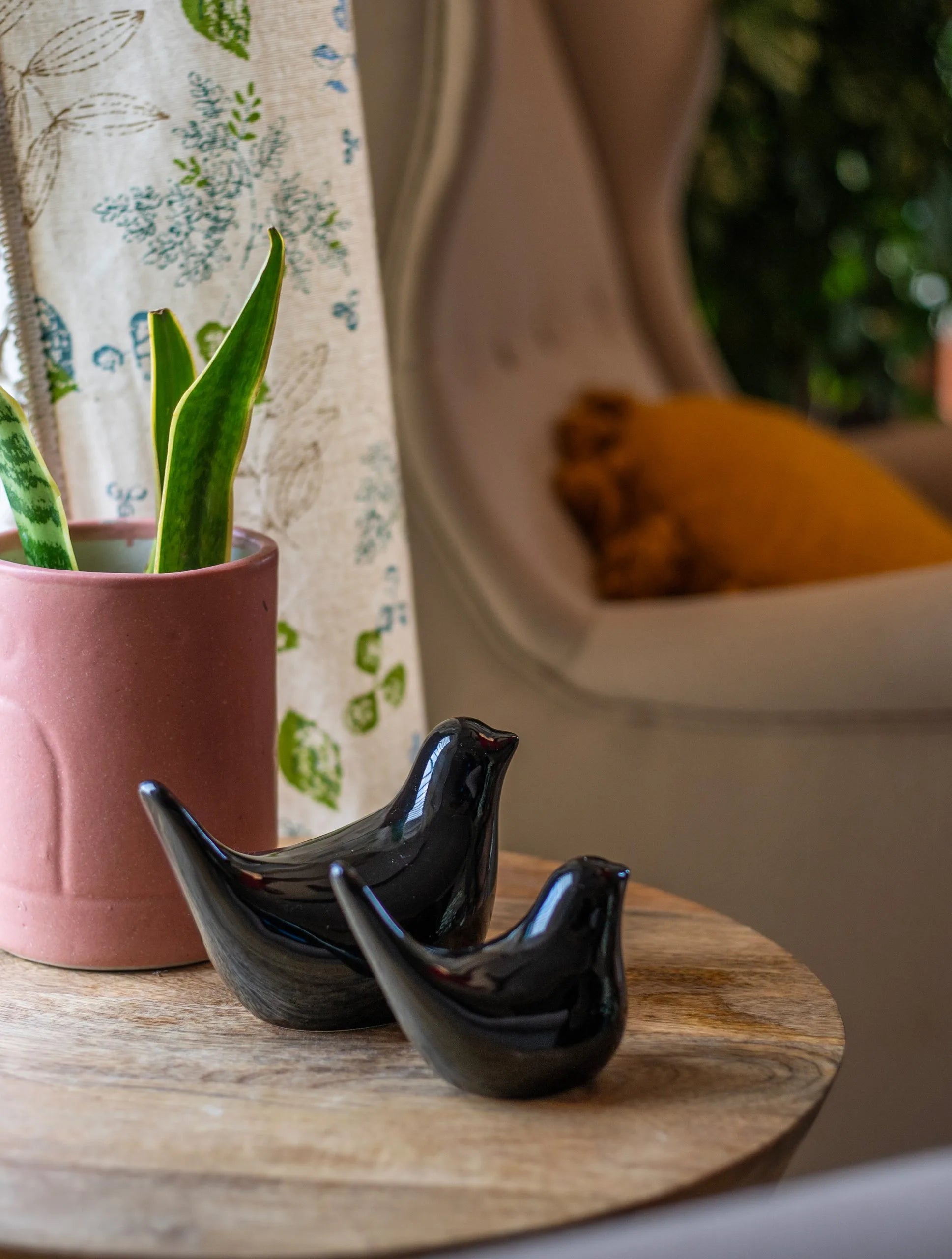 Pottery Peepers - Home Decor Set