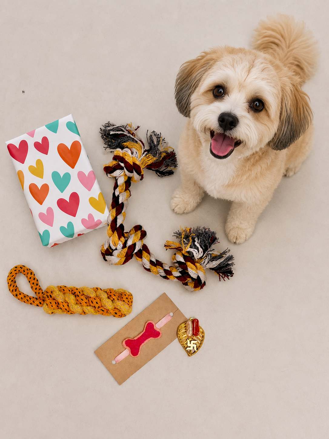 Playful Paws Dog Rakhi Hamper with 2 Toys