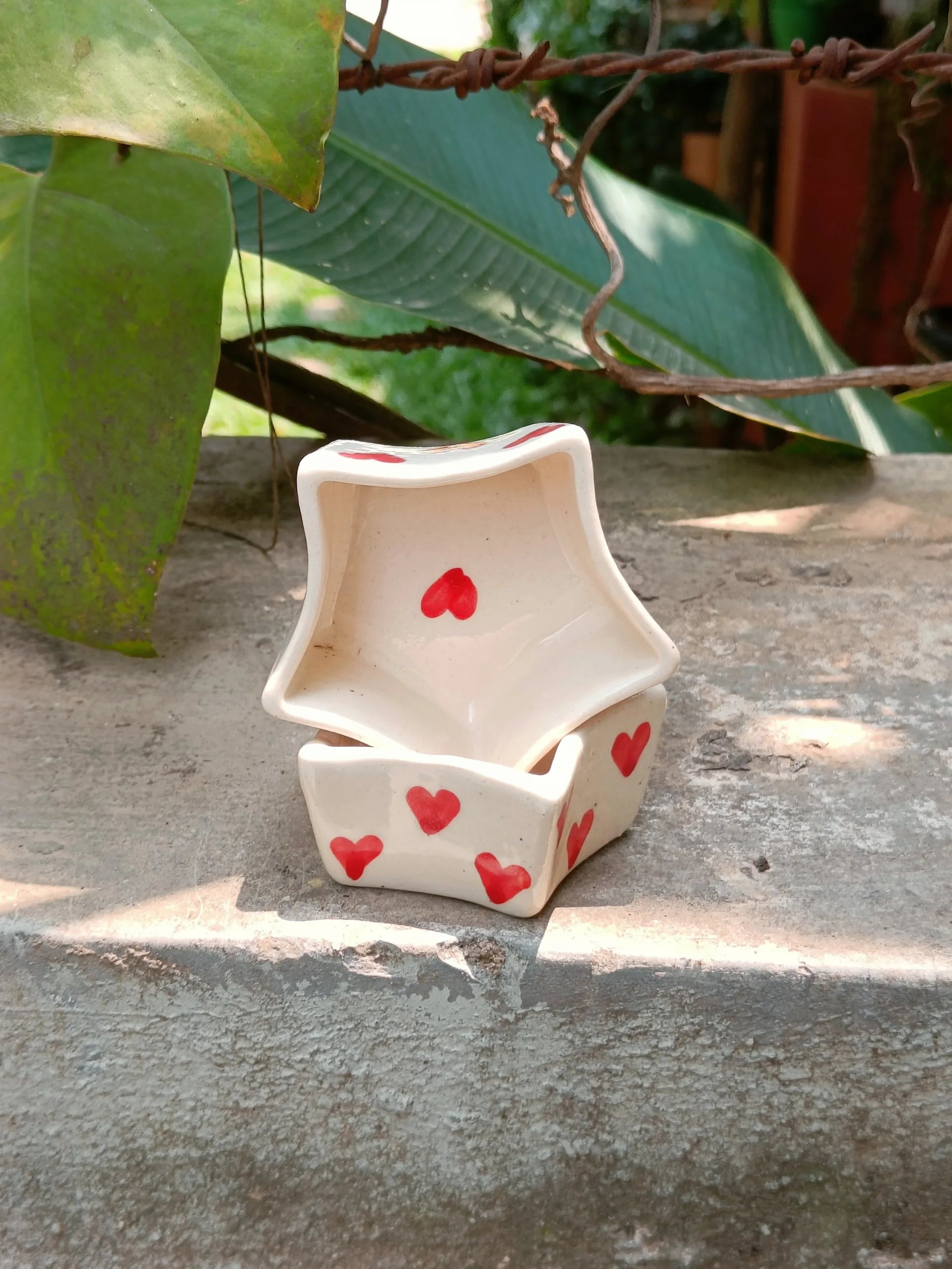 Little DilKhush Bowls (Pair)